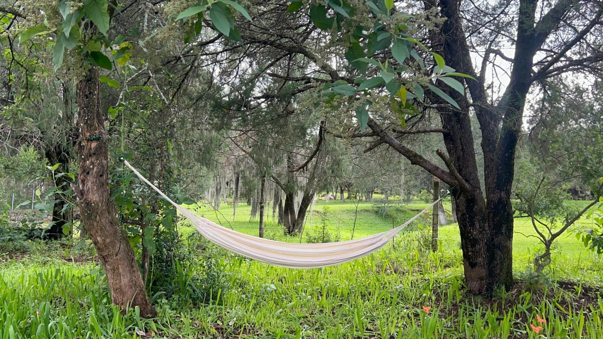 Cabanas La Victoria By Gestores Huasca de Ocampo Kültér fotó