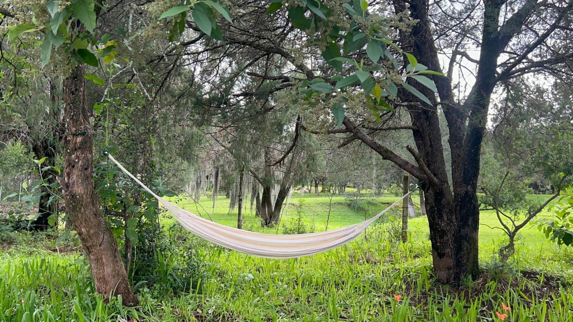 Cabanas La Victoria By Gestores Huasca de Ocampo Kültér fotó